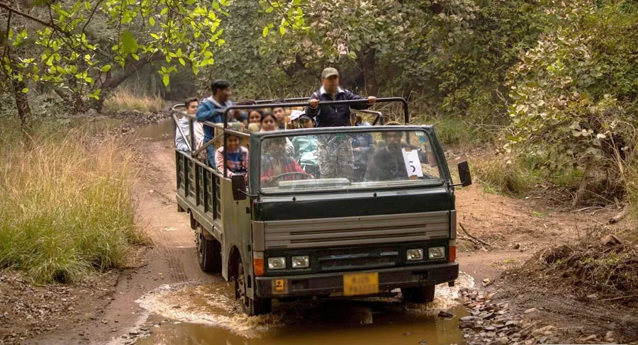 Ranthambore Canter Safari