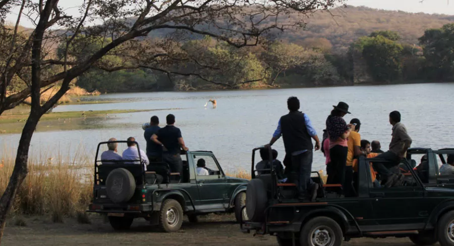 Ranthambore Jeep Safari