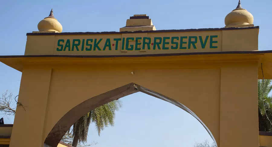 Sariska Tiger Reserve